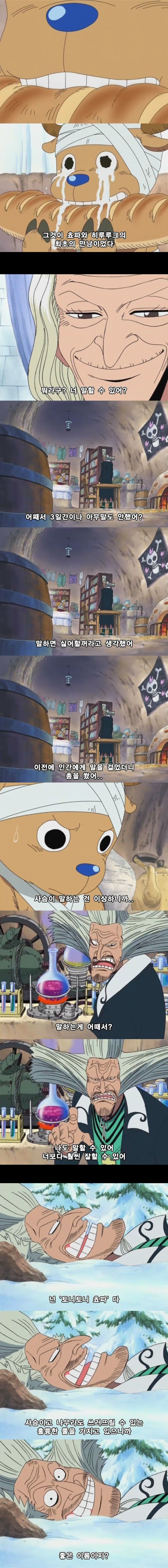 개인적으로 생각하는 원피스 에피소드 중 가장 슬픈 에피소드 | 인스티즈
