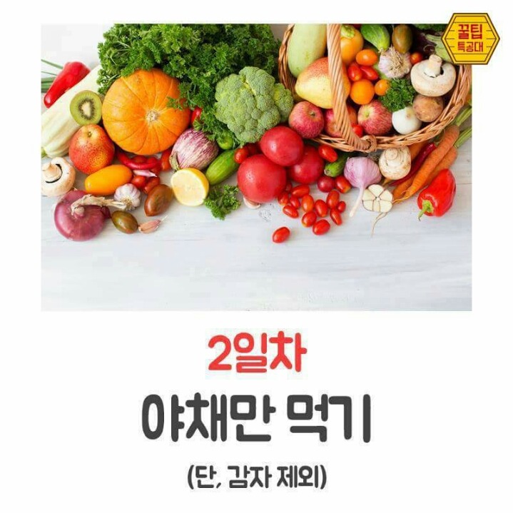 7Days 7kg GM 다이어트 | 인스티즈