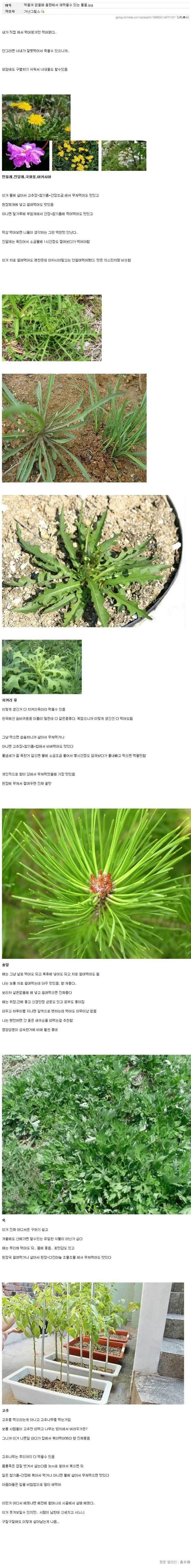 디시를 눈물바다로 만든 가난그릴스 | 인스티즈