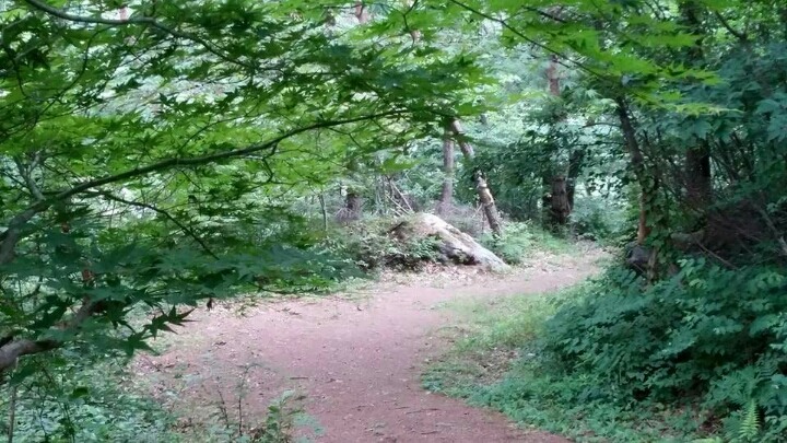 도깨비마을 이미지
