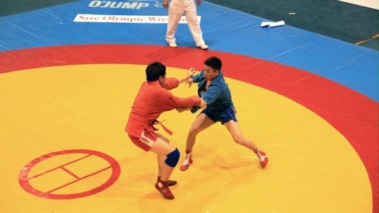 삼보 이미지