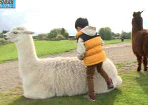 [아빠어디가] 동물이란 동물은 다 좋아하는 것 같은 민율이ㅋㅋ (아기♥동물=힐링) | 인스티즈