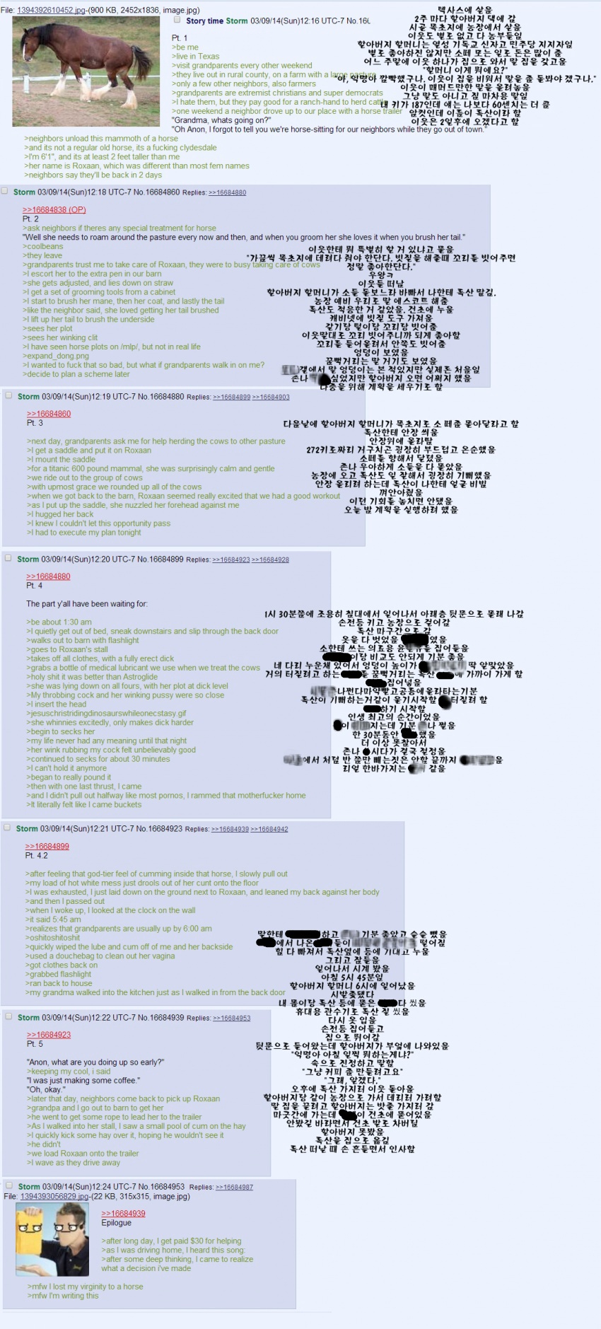 [주의] 암말과 자칭 사랑을 나눴다는 4chan 익명.jpg | 인스티즈