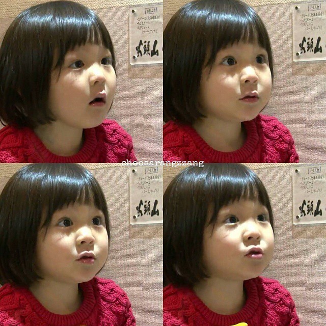 시호 유전자가 주장하기 시작한 최근의 추사랑.jpg | 인스티즈
