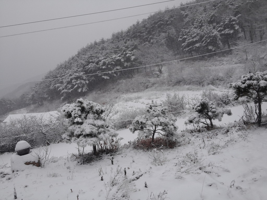 산중농원 이미지