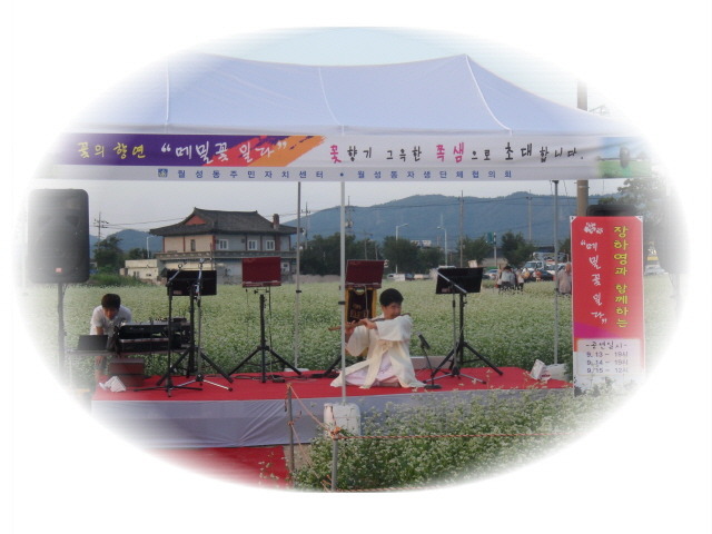 꽃일다 이미지