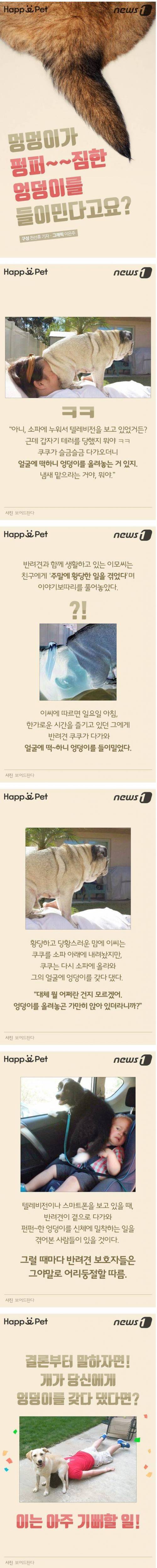 개가 펑퍼짐한 엉덩이를 들이대는 이유 | 인스티즈