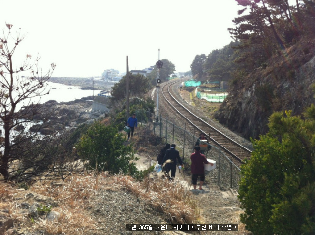 바다소풍 이미지