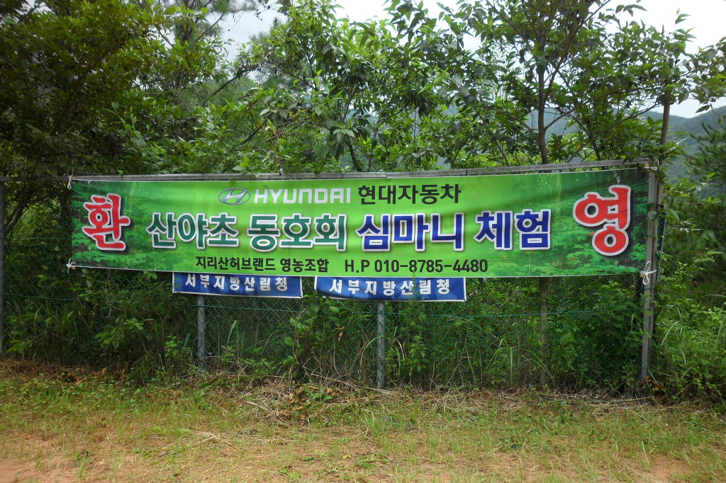 지리산산삼산야초 이미지