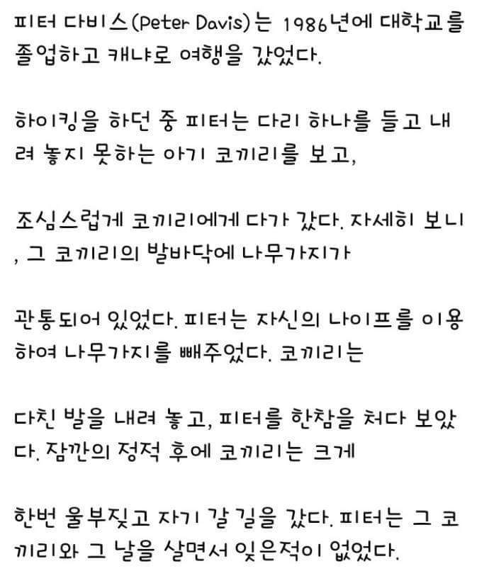 코끼리의 기억력 | 인스티즈