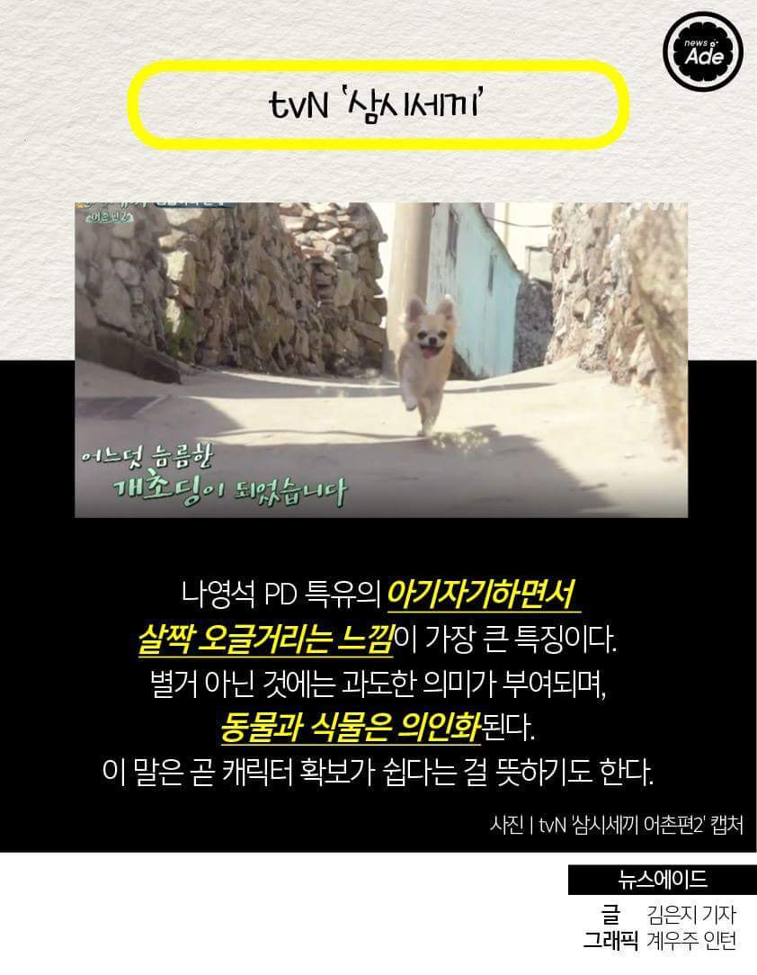 당신의 예능 자막 취향은? | 인스티즈