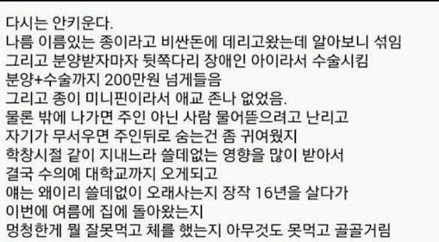 다시는 강아지 안 키운다 | 인스티즈