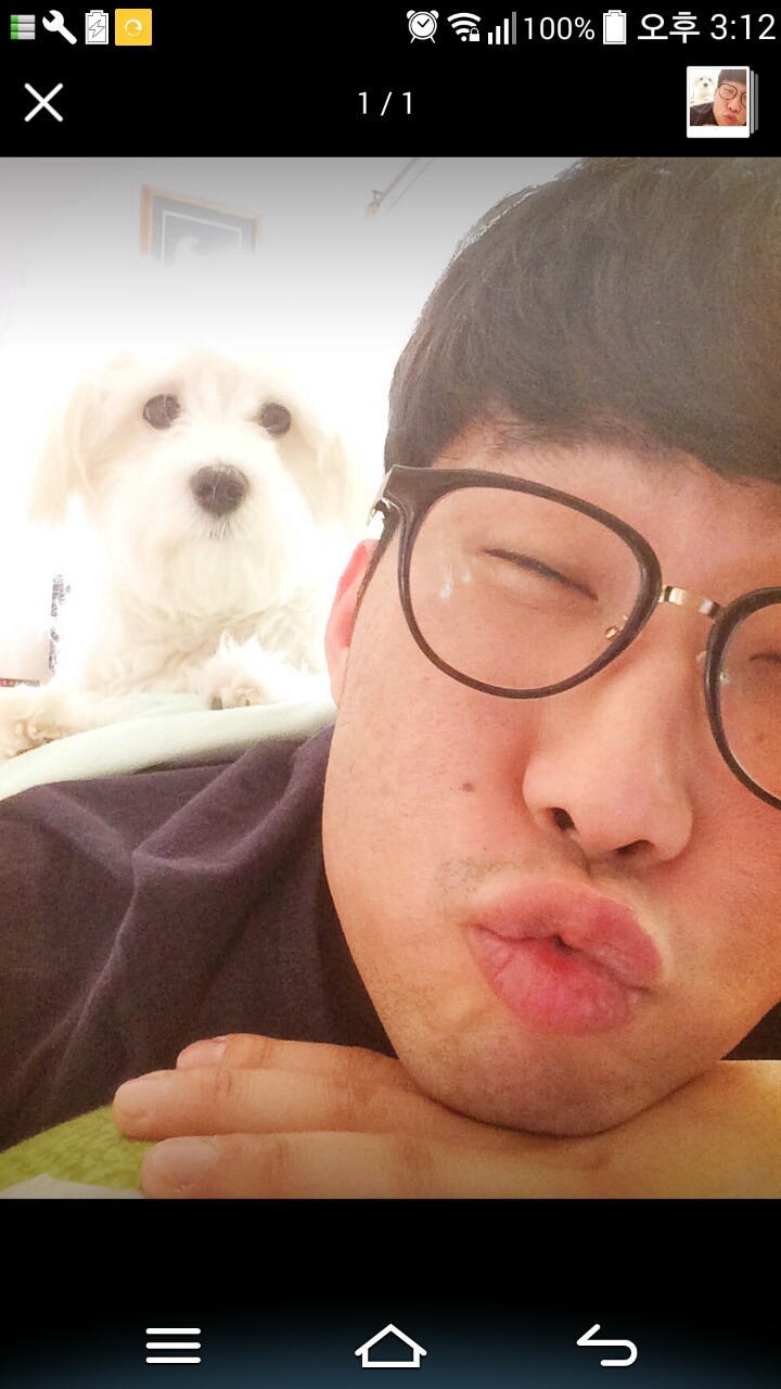 바리랑 이미지