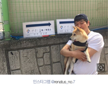 투표장을 찾은 멍뭉이들 | 인스티즈