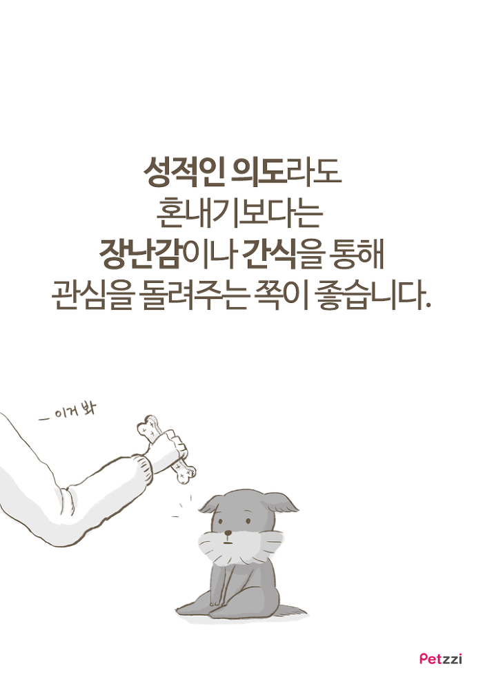 강아지 붕가붕가.jpg | 인스티즈