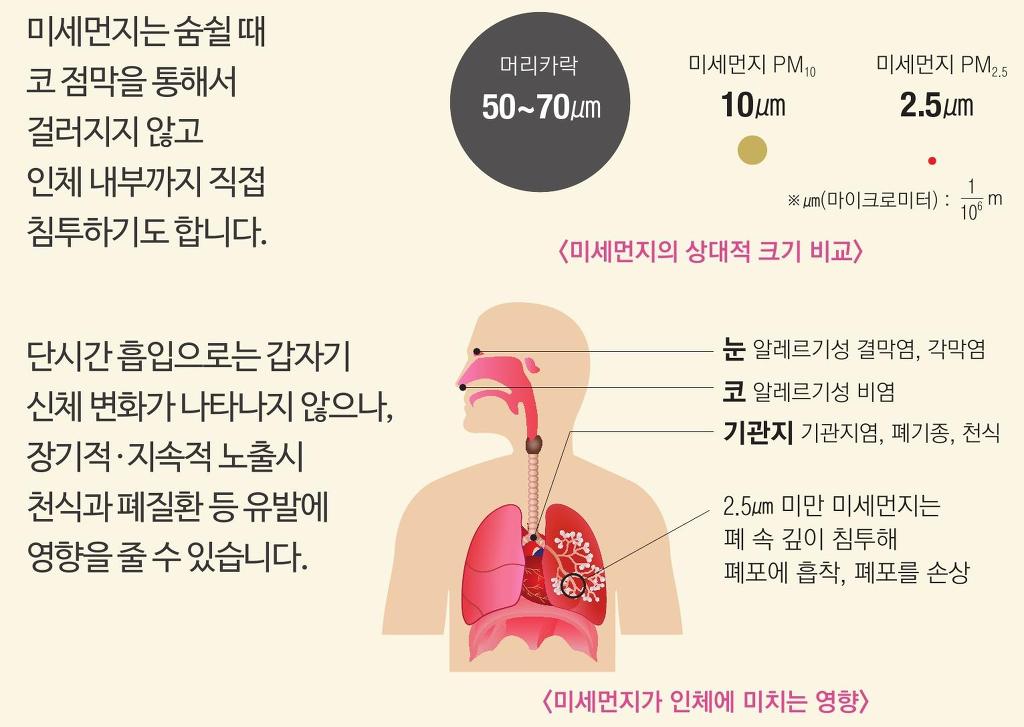 4월 29일 전국 미세먼지 예보 | 인스티즈