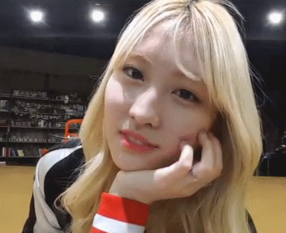 [트와이스] Z르지마 얼마 가Zl 않아 모구리 짤모음.jpg | 인스티즈