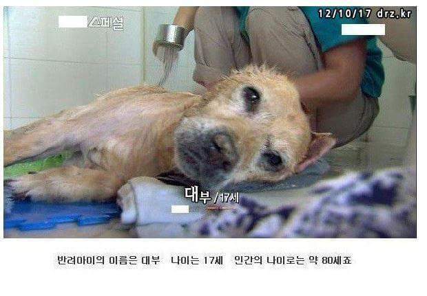 세상에서 가장 아름다운 이별 | 인스티즈