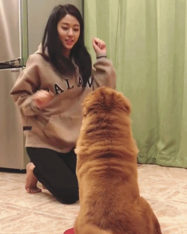 설현이와 강아지 | 인스티즈
