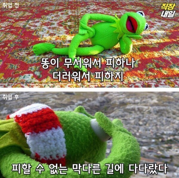 직장인이 되기 전/후 | 인스티즈