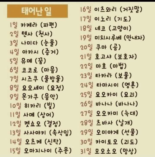 이름 이미지