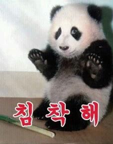 블리 이미지