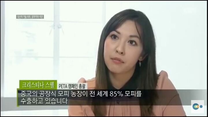 당신이 입고있는 따뜻한 겨울외투의 진실 (동물피 주의) | 인스티즈