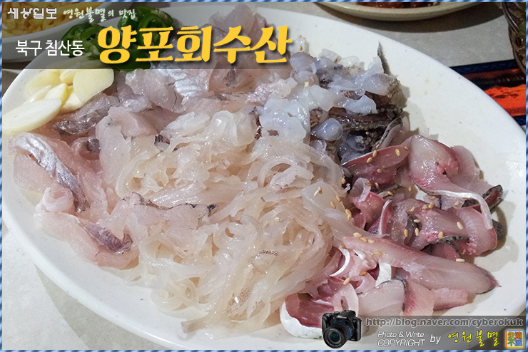 동네수산 이미지