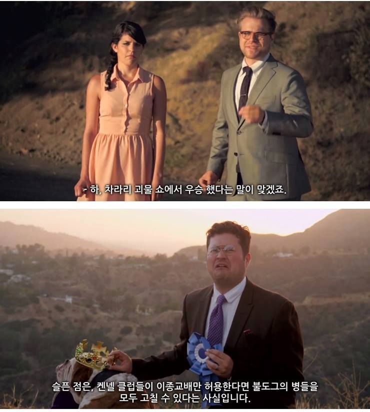 강아지 품종에 관한 불편한 진실 | 인스티즈