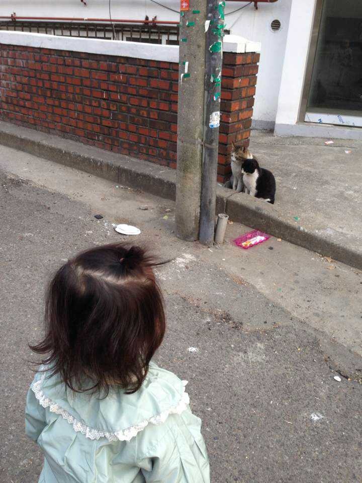 선*효 이미지