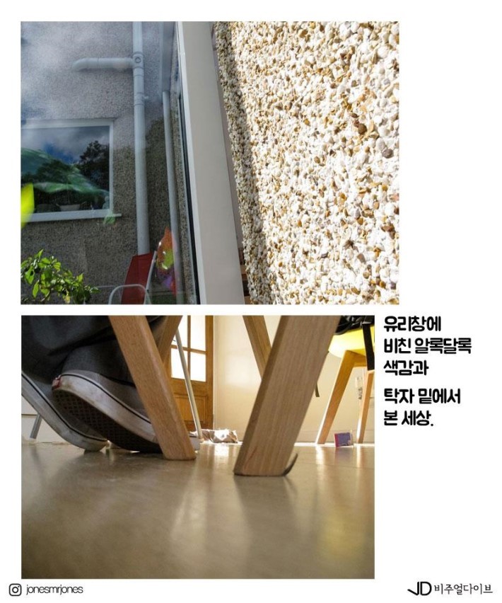 19개월 아기가 찍은 사진들 | 인스티즈