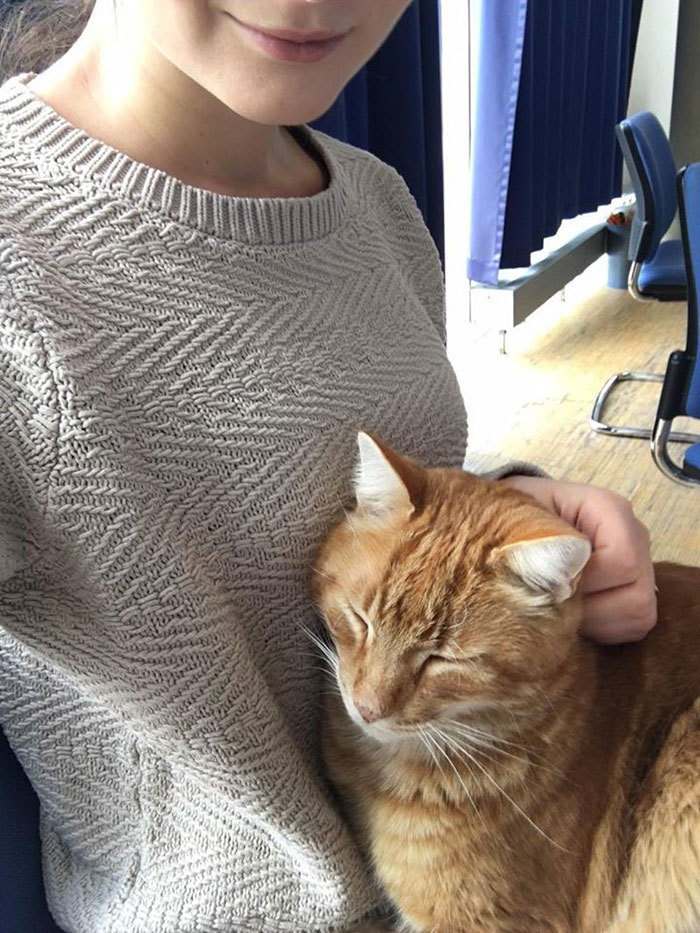 학생들한테 맨날 안기러 온다는 어느 대학 고양이 | 인스티즈