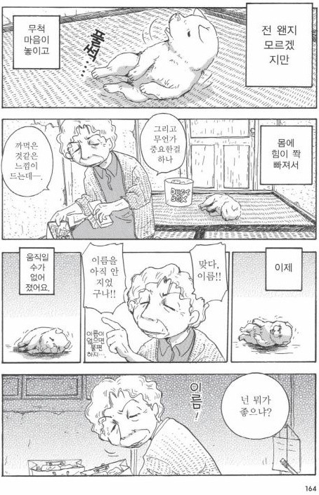 개를 주워 오면 안되는 이유 | 인스티즈