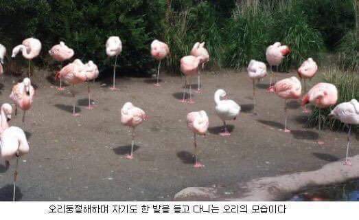 오 여긴 이게 규칙인가...?? | 인스티즈