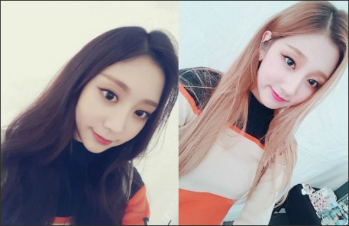 평소 서로 닮았다는 얘기 엄청듣는 러블리즈 멤버.jpgif | 인스티즈