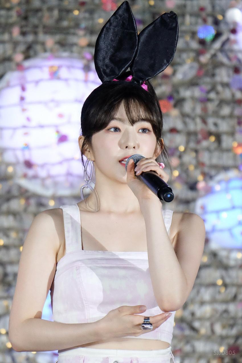 아이린 비쥬얼은 개쩔었던 짐살라빔 활동jpgif (사진多,데이터폭탄주의) | 인스티즈