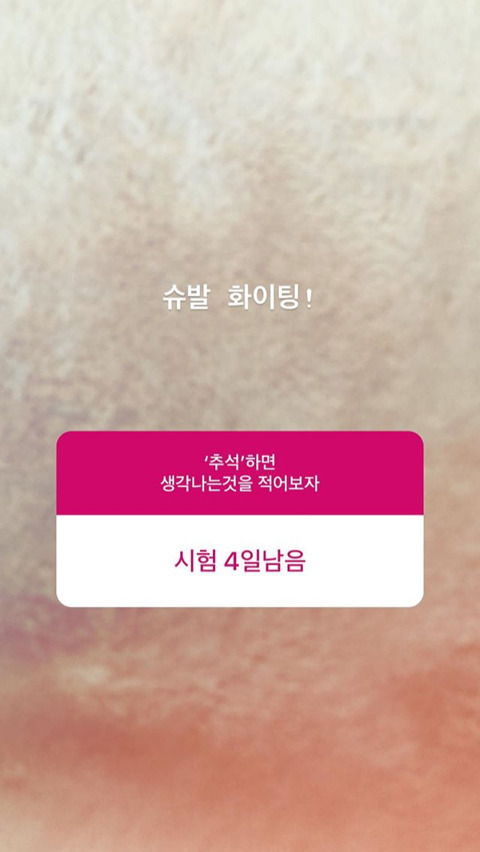 오늘자 탱구 인스타 답변 | 인스티즈