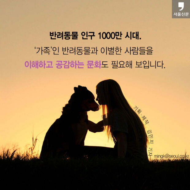 처음 반려동물 만났을때 너무 좋고 예뻐서 전혀 생각하지 못하는 것.jpg | 인스티즈