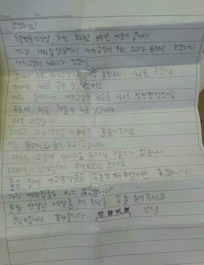 동물병원에 고양이 4마리 놓고간 초딩.jpg | 인스티즈
