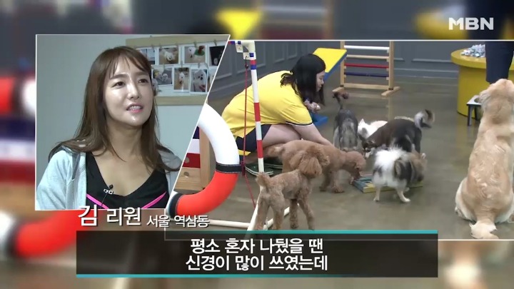 강아지 유치원 하루일과.jpg | 인스티즈