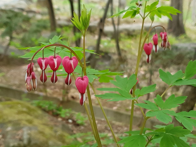 991119455CBD0BCF078A35