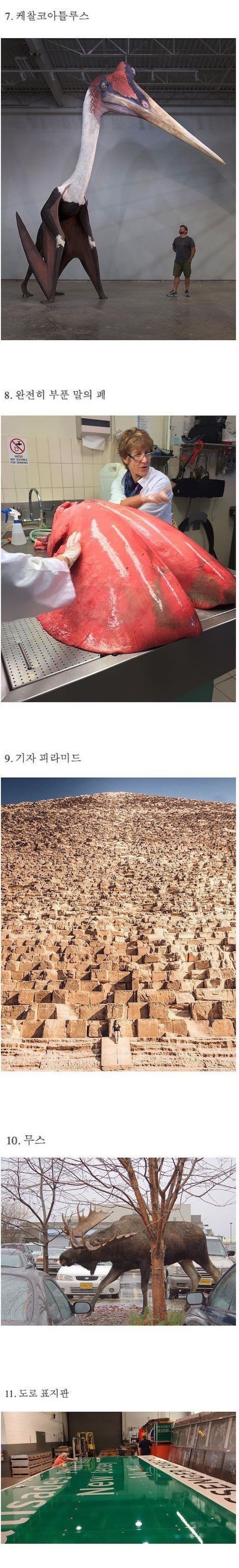 사물들의 실제 크기 | 인스티즈