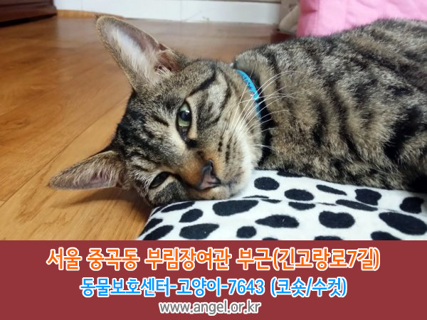 부림장여관 이미지