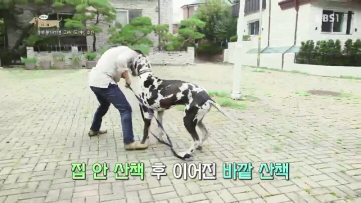 강형욱 훈련사에게 감탄한 세나개 제작진과 견주들.jpg | 인스티즈