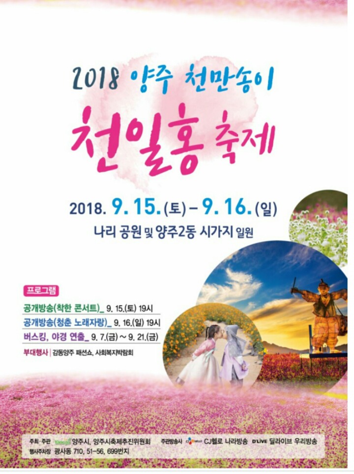 양주 더 맑음 이미지