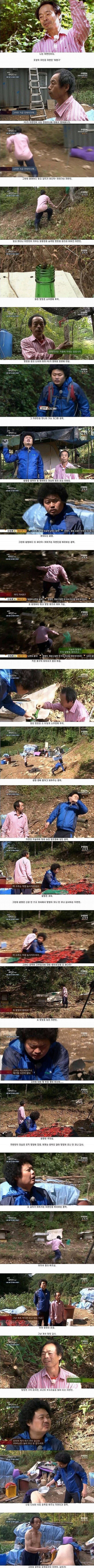 장수말벌의 천적.jpg | 인스티즈