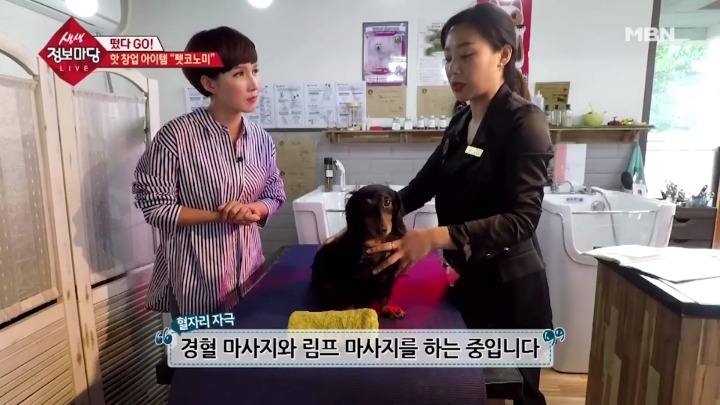 강아지 아로마테라피.jpg | 인스티즈