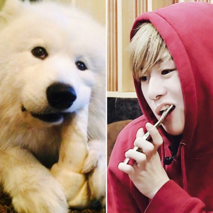 강아지중에 가장 사람닮은듯한 강다니엘 사진모음.jpg | 인스티즈