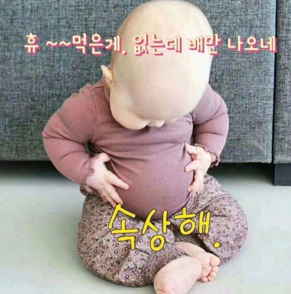 복숭아과수원 이미지