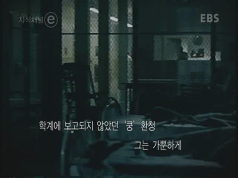 제 정신으로 정신병원 들어가기 | 인스티즈